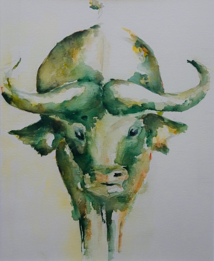 Marjolein Schutte - Lembu - aquarel